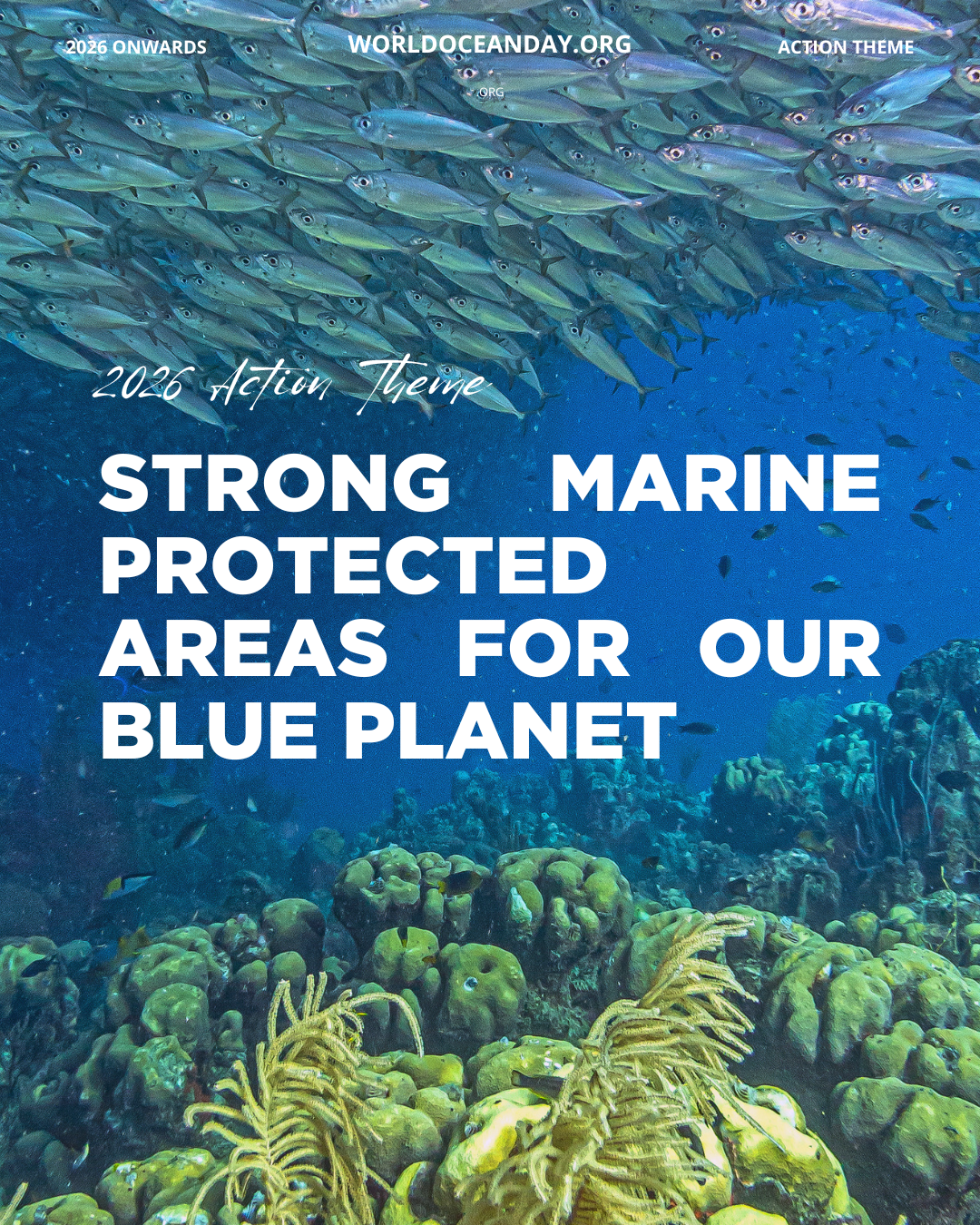 World Ocean Day