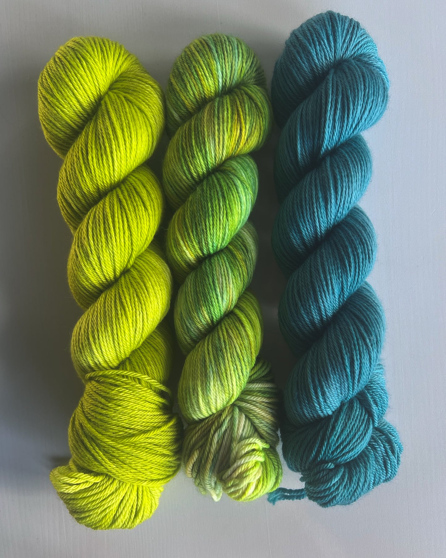 Sagittarius - Sea Turtle