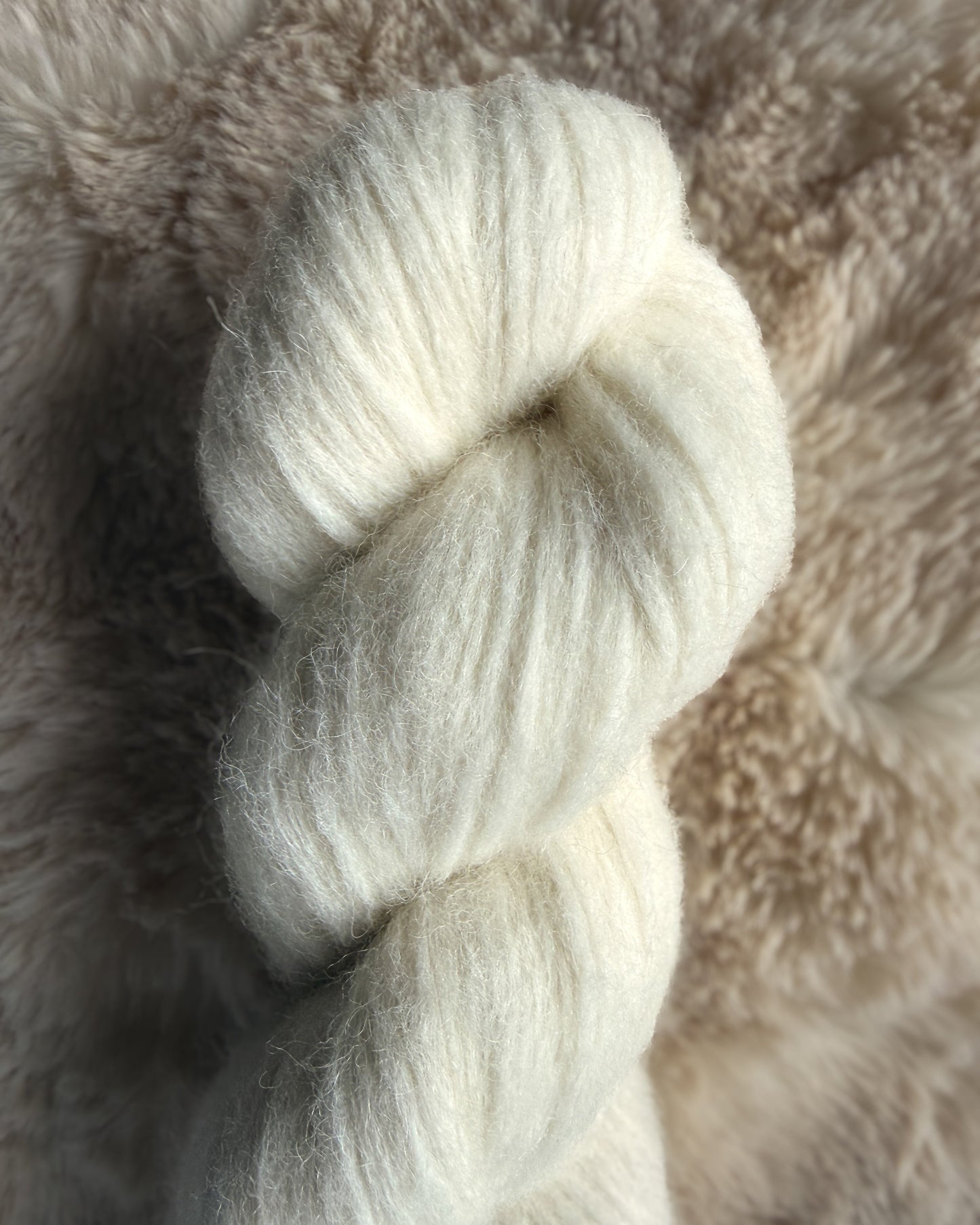 Polar Bare