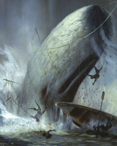 Moby Dick