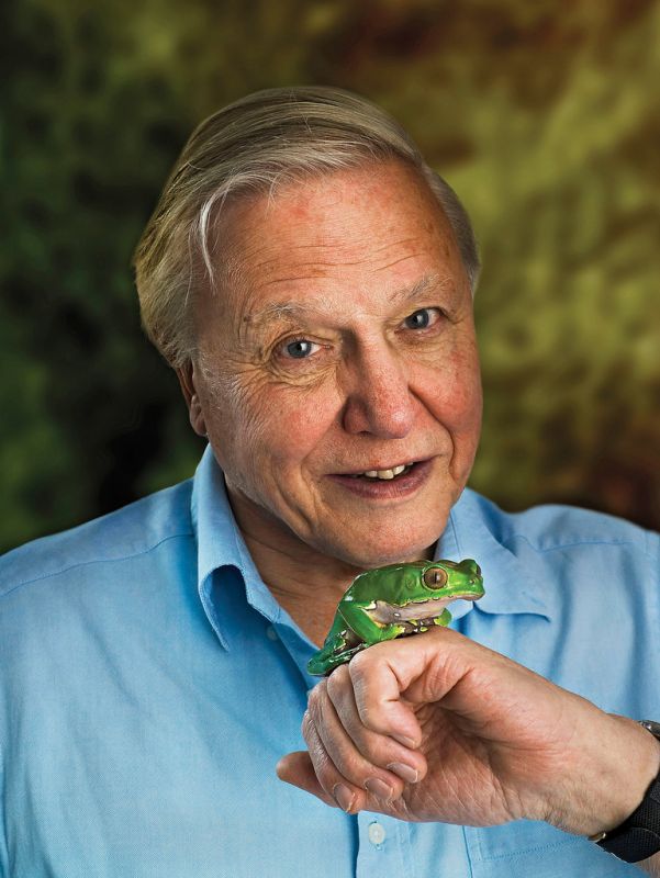 A 100 Years of Sir Daddy David