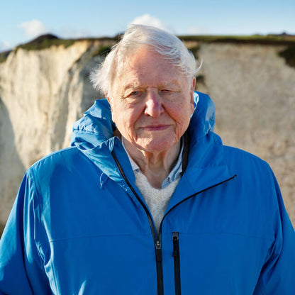 A 100 Years of Sir Daddy David