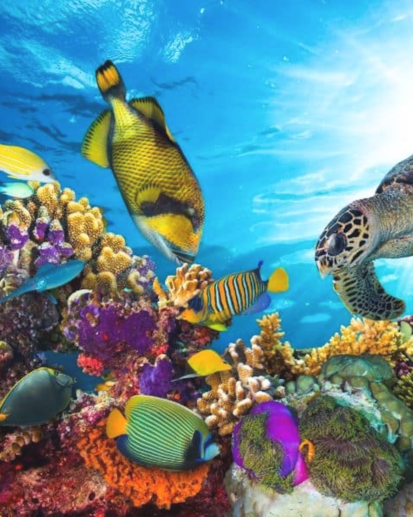 Great Barrier Reef