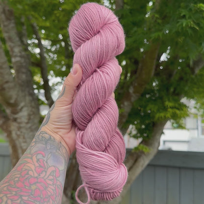 Giant Pink Sea Star